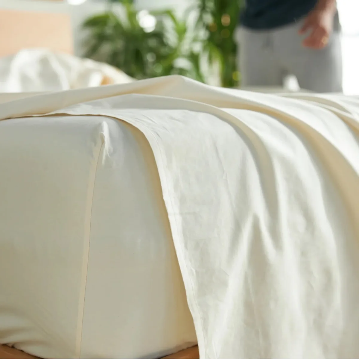 Avocado organic percale sheets